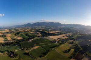 le marche gajole verdicchio